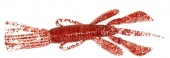 Силиконовая приманка Jackall Pine Shrimp 3.5" Salt Clear Red Flake