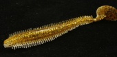 Силиконовая приманка Fox Rage Spikey Shad 12cm NSL528 (Gold Glitter) упак.