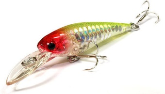 Lucky Craft Bevy Shad 50F_5431 MS Crown 195