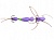 Мандула Vitaris 3-Х секционная Ларва,цвет фиолетовый