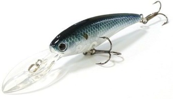 Lucky Craft Staysee 60SP-237 Ghost Blue Shad